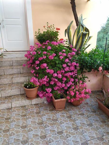 Garden Of Olive Trees Villa Asfendiles Luaran gambar